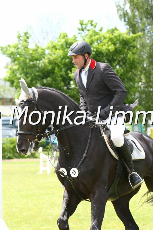 204M0774_Balou Noire_Spr_Pferde_A.JPG